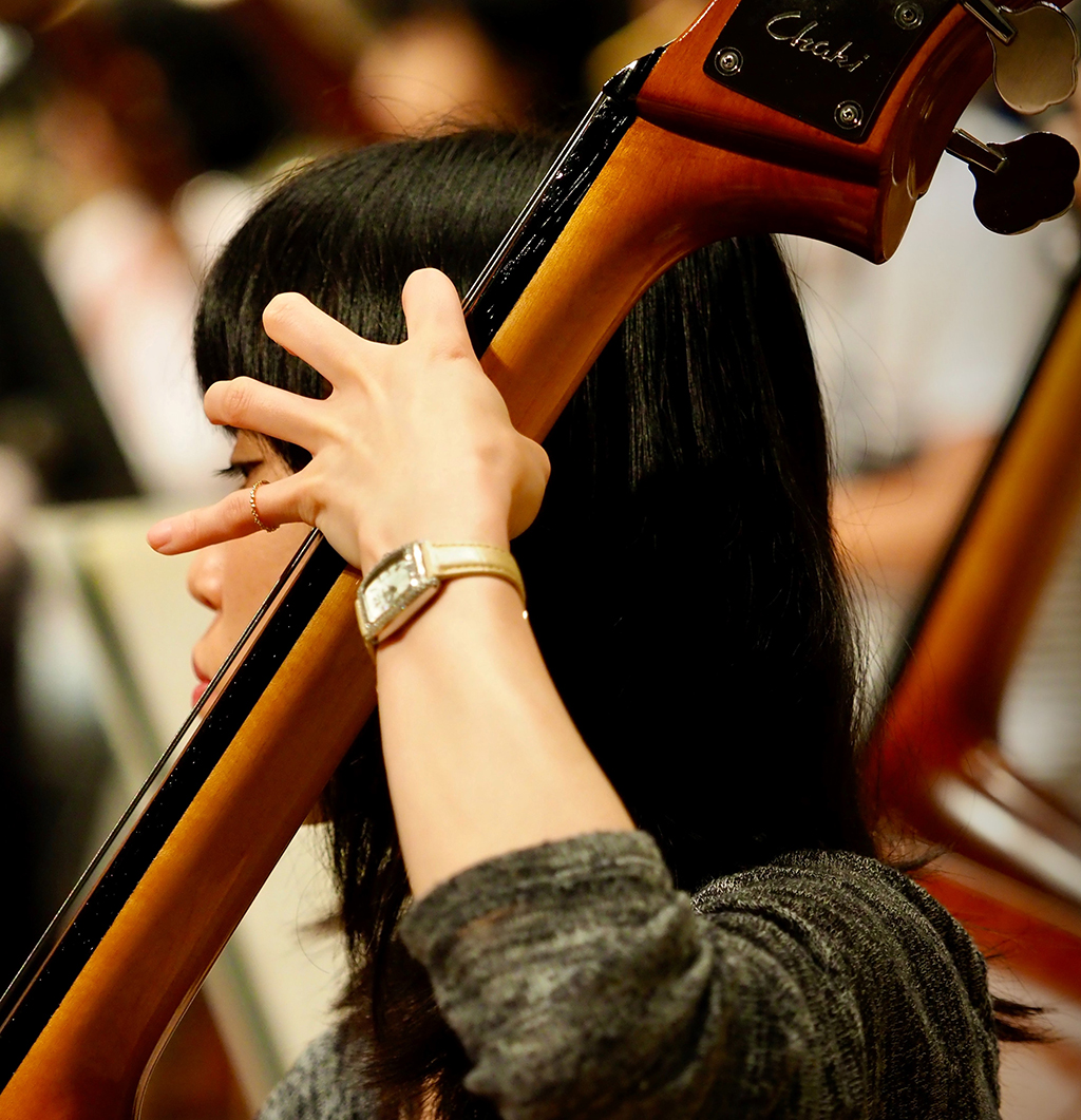 Snaarinstrument houding vingers